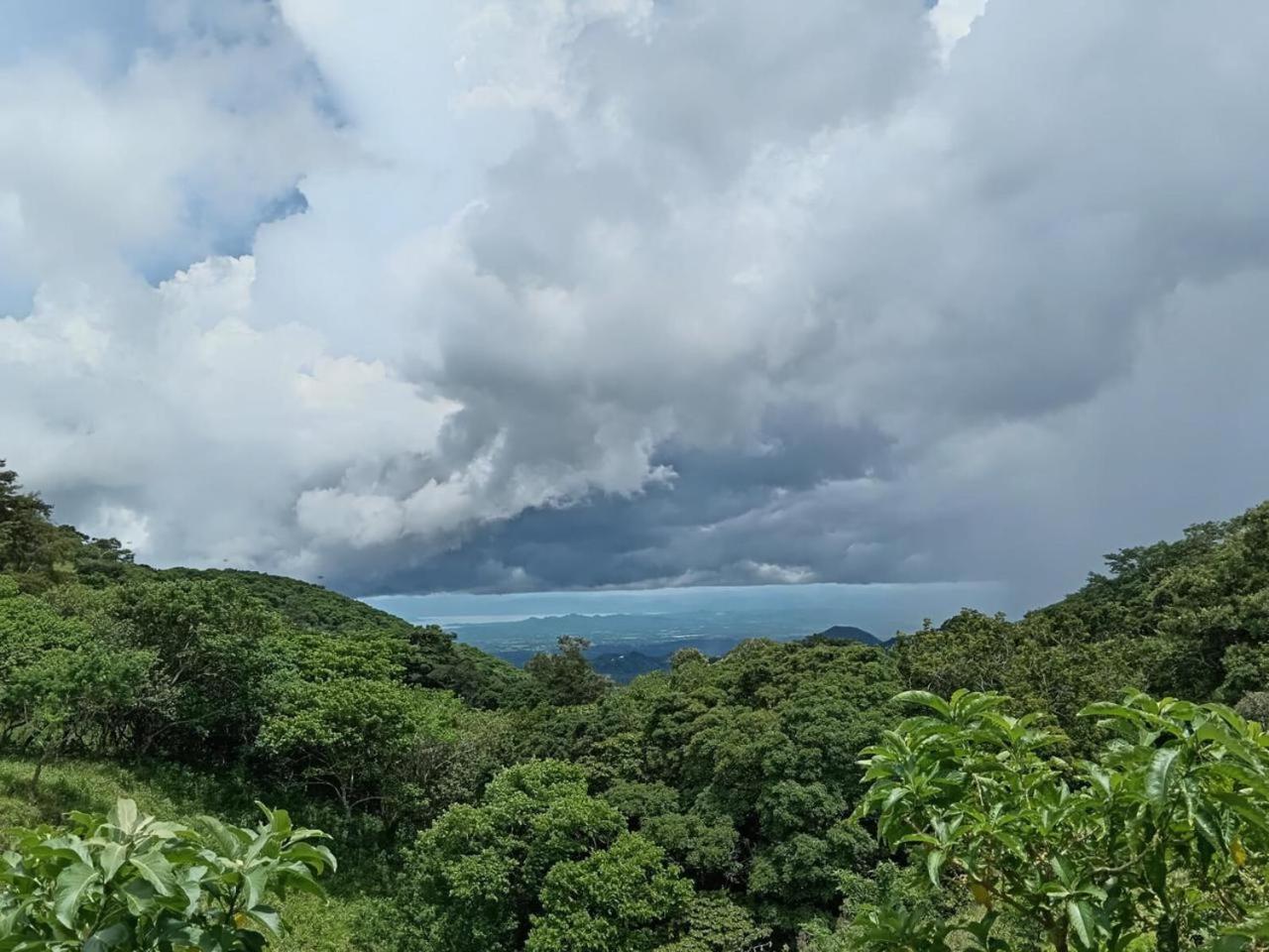 Casa Urraca, Magnifica Vista Al Oceano Pacifico Villa Monteverde Bagian luar foto