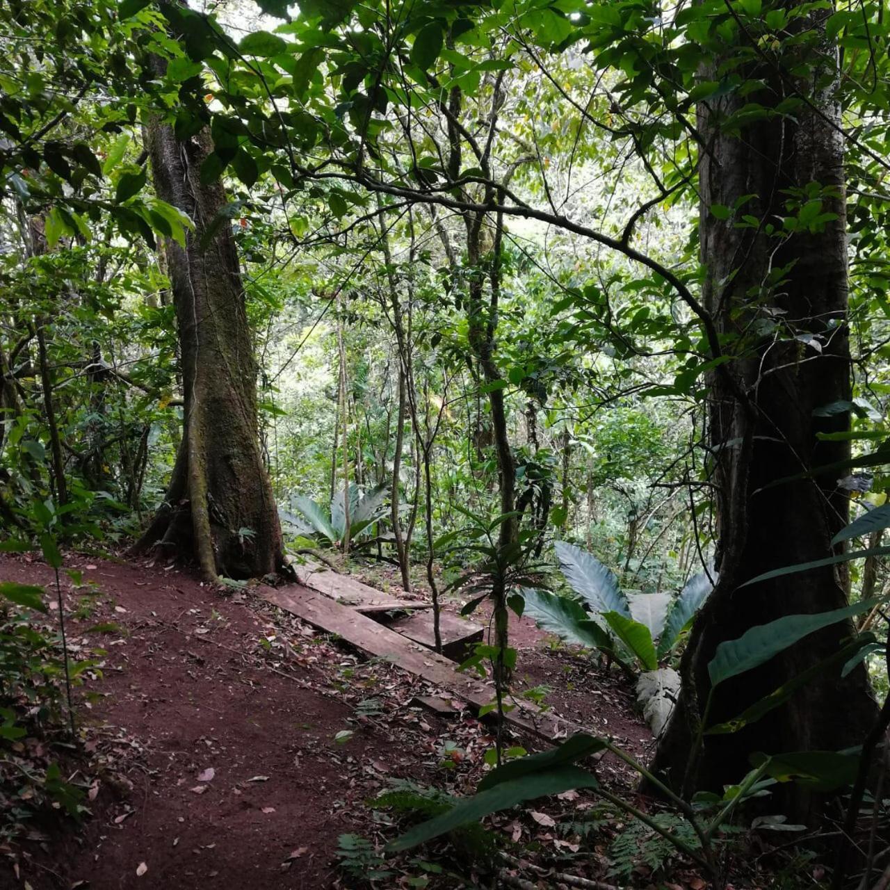 Casa Urraca, Magnifica Vista Al Oceano Pacifico Villa Monteverde Bagian luar foto